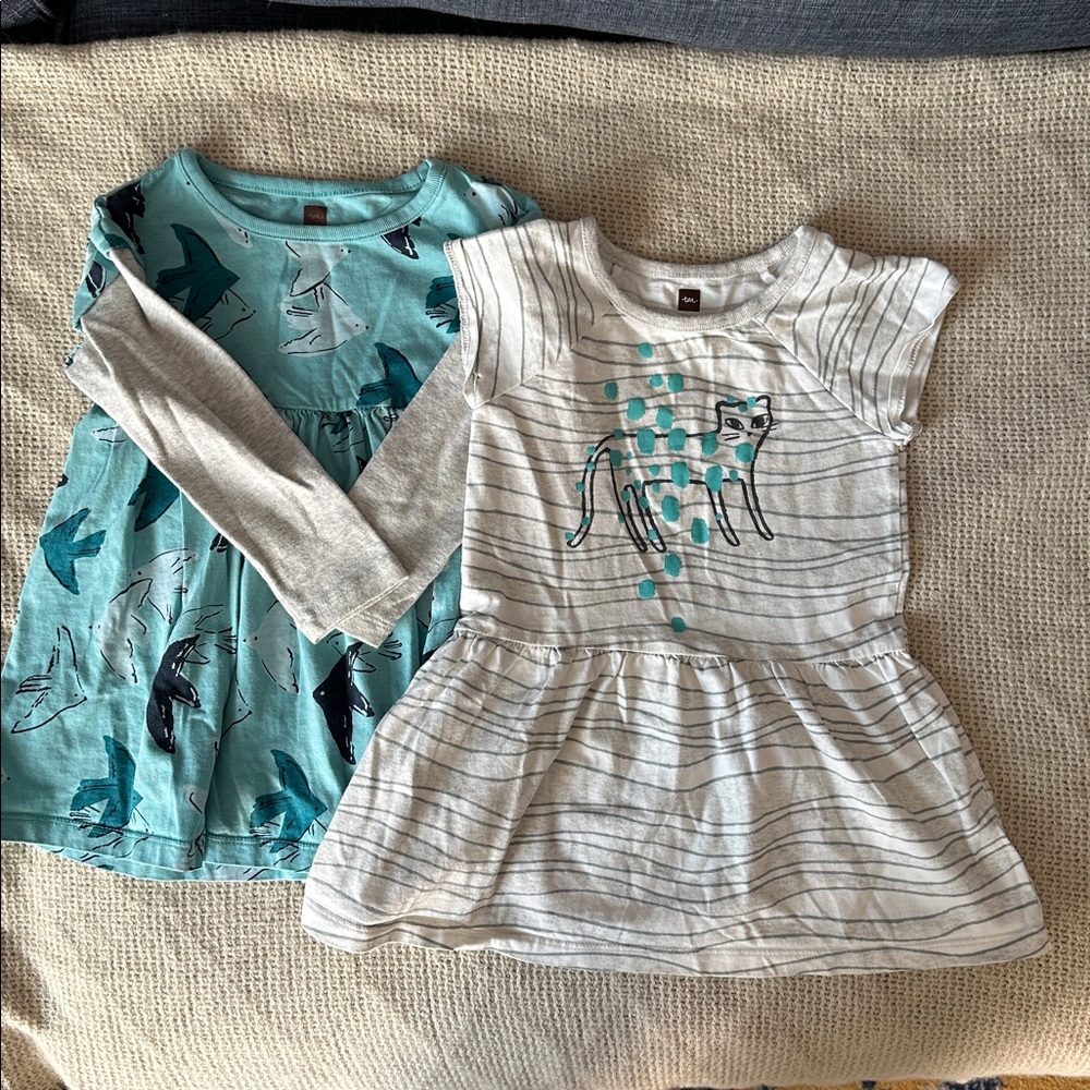 Tea Collection Dress Pair